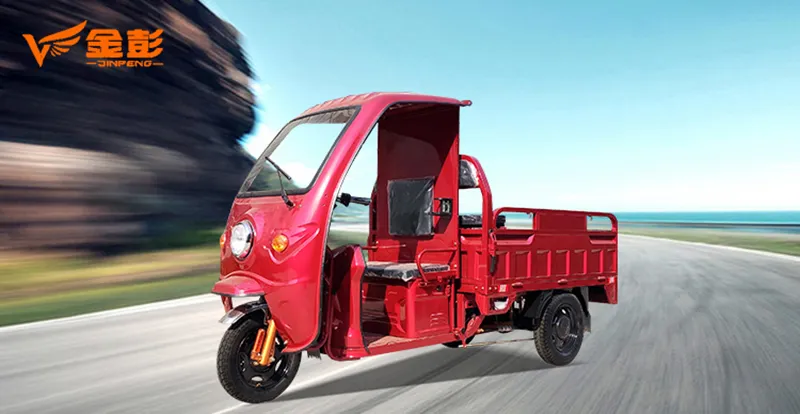 1000W Electric Started Three Wheel Cargo Tricycle for Sale