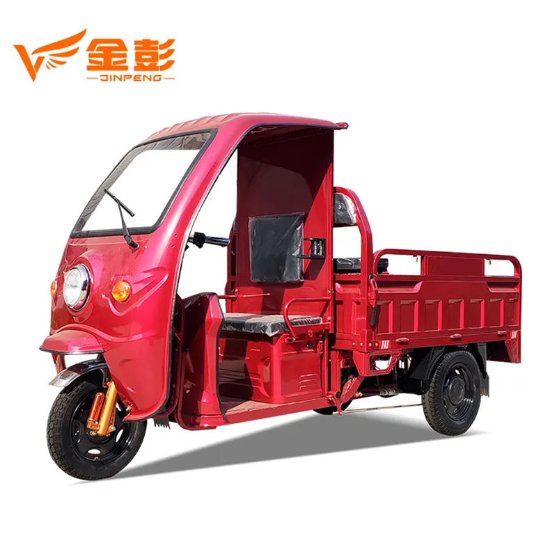 1000W Electric Started Three Wheel Cargo Tricycle for Sale