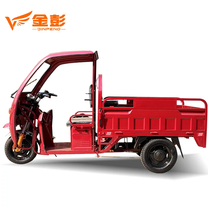 1000W Electric Started Three Wheel Cargo Tricycle for Sale