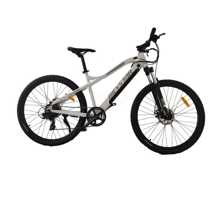 14 Ebike14 Inch E Bike14-Inch Electric Folding Bike
