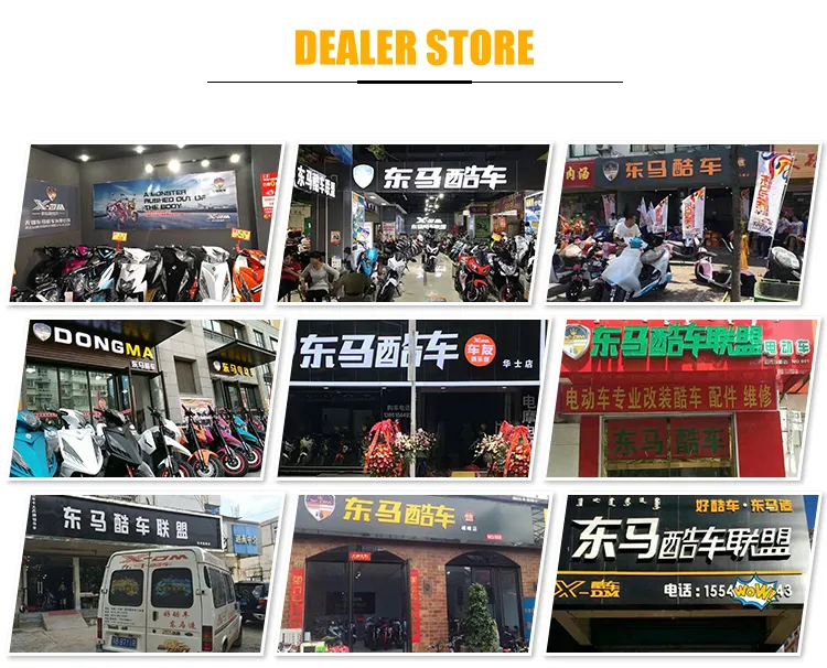 1500W Electric Scooter Citycoco 2 Wheel Electric Scooter Harley Motorcycle