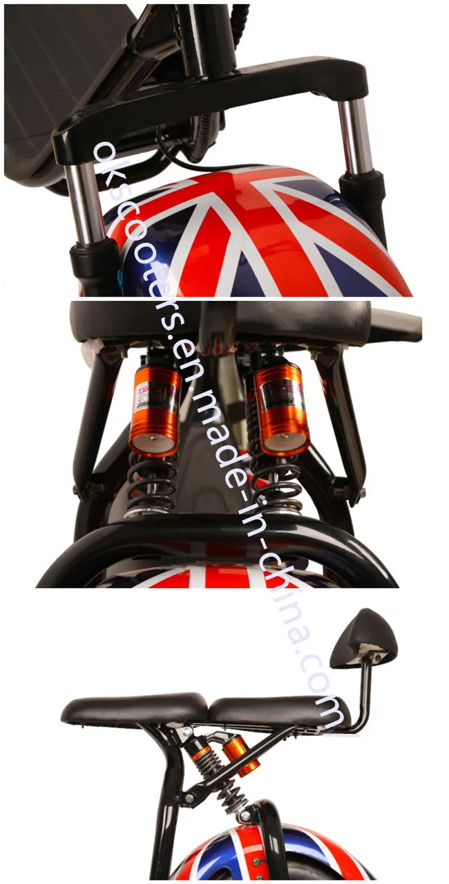 1500W Electric Scooter Halley Scooter Hot Sale ATV Scooter with Big Wheel