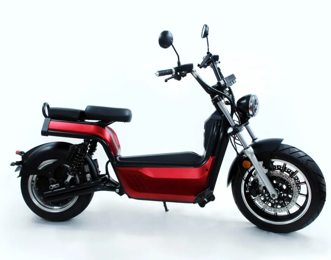17inch Fat Tire Unfoldable Electrical Asistencia Electric Citycoco Scooter Energy Saving Model