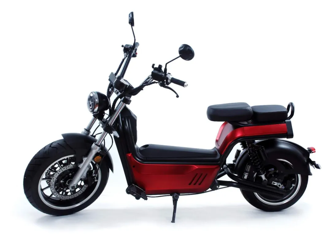 17inch Fat Tire Unfoldable Electrical Asistencia Electric Citycoco Scooter Energy Saving Model