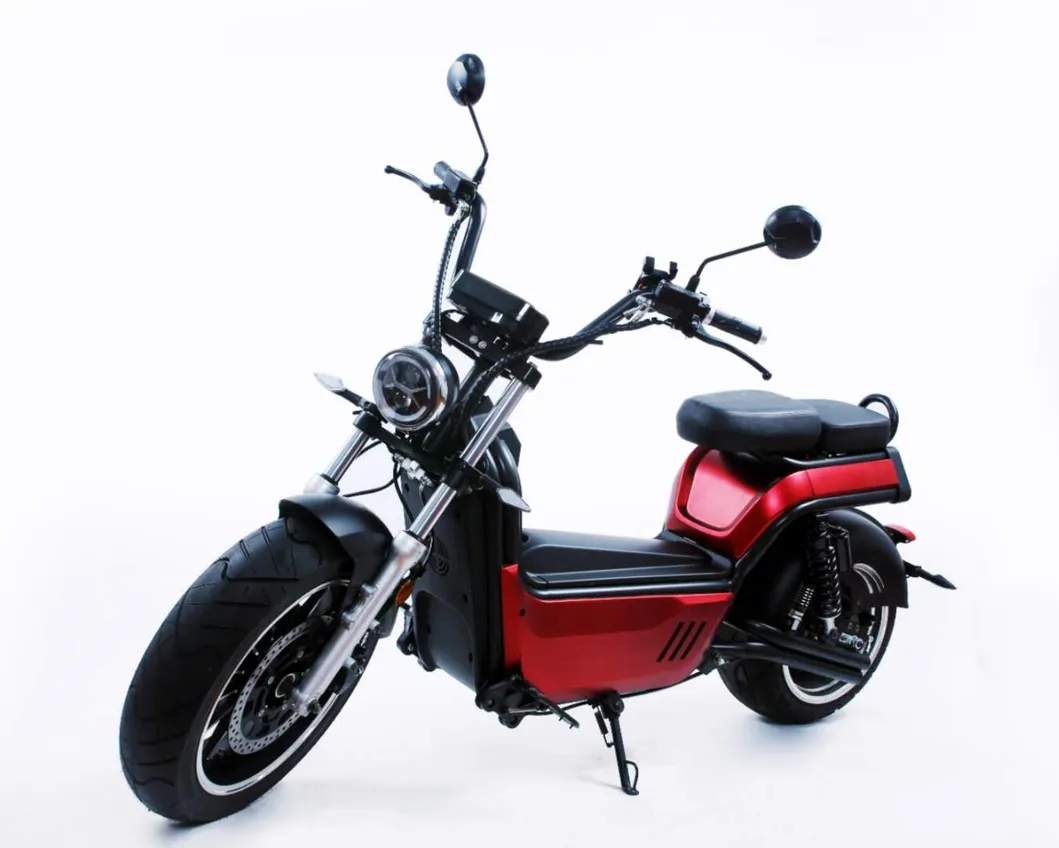 17inch Fat Tire Unfoldable Electrical Asistencia Electric Citycoco Scooter Energy Saving Model