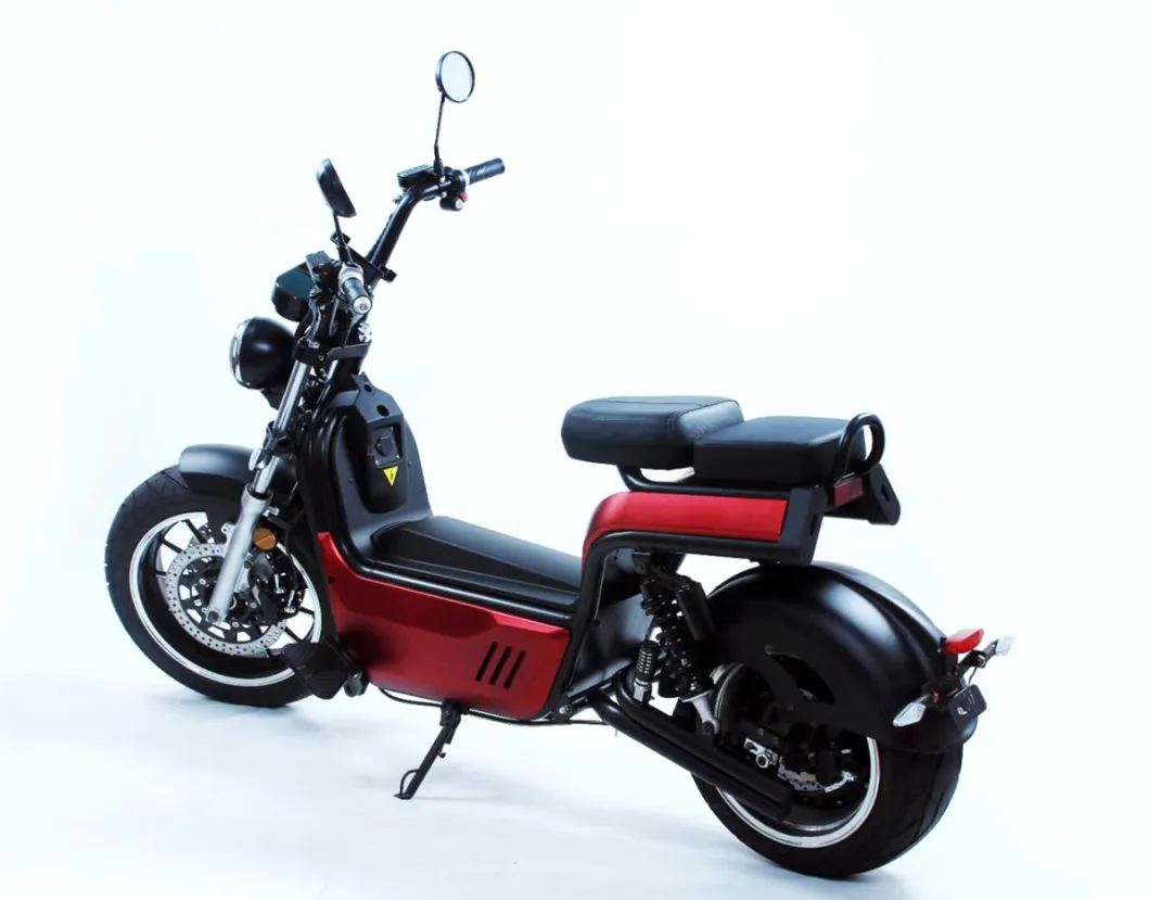 17inch Fat Tire Unfoldable Electrical Asistencia Electric Citycoco Scooter Energy Saving Model