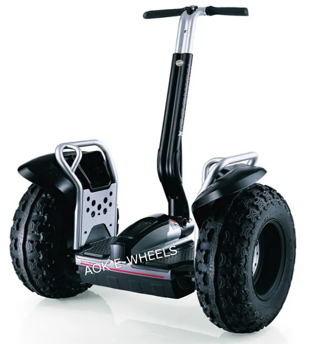 19′′ Electric Self Balance Scooter (SS-002)