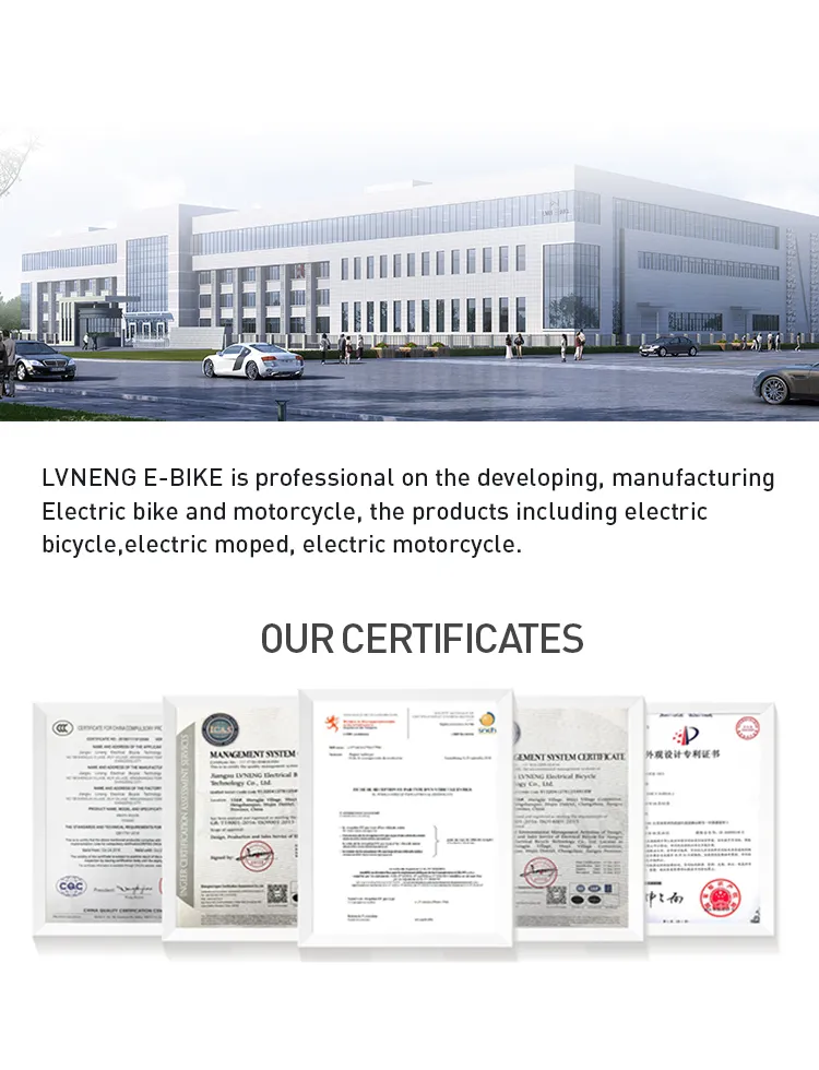 2 Wheel EEC Electric Scooter for Adults Factory Supply Cheap Price 2000W