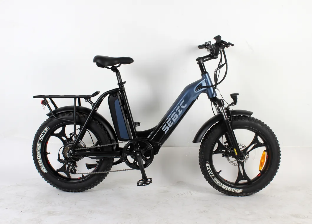 20-40km/H ISO Approved Carton 910*465*740mm China Electronic Bicycle Ebike E-Cargo 4.0 Step