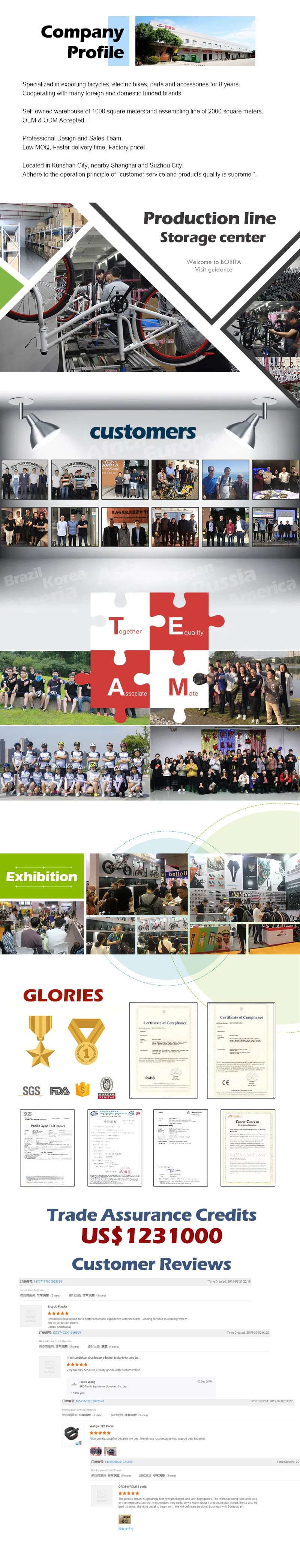 20-40km/H ISO Approved Carton 910*465*740mm China Electronic Bicycle Ebike E-Cargo 4.0 Step