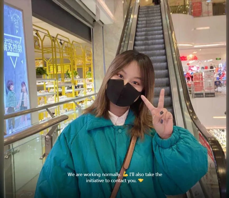 20 Inch Fat Tire Foldable City Electric Bike Rear Motor with Lithium Battery E Bike