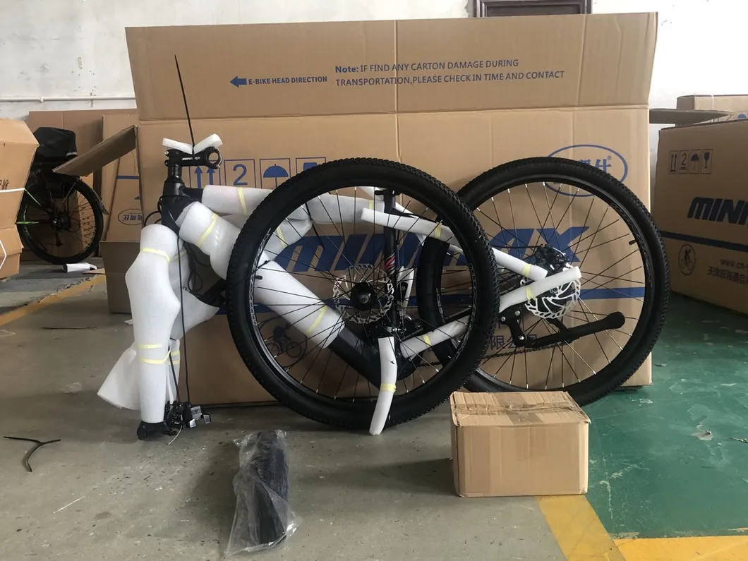 20 Inch Fat Tire Foldable City Electric Bike Rear Motor with Lithium Battery E Bike