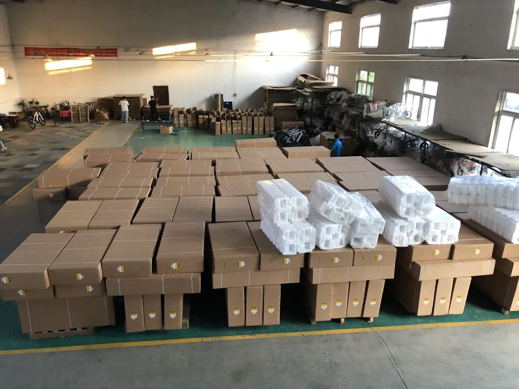 20 Inch Fat Tire Foldable City Electric Bike Rear Motor with Lithium Battery E Bike