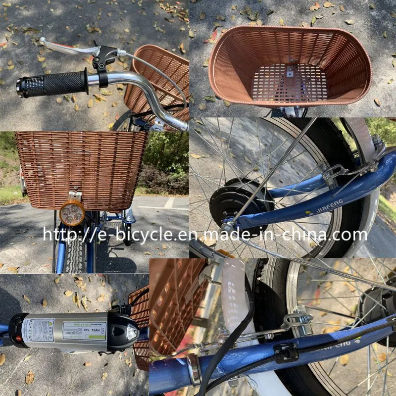 20" Three Wheels Tricycle Lithium Battery Electric Tircycle for Old Men