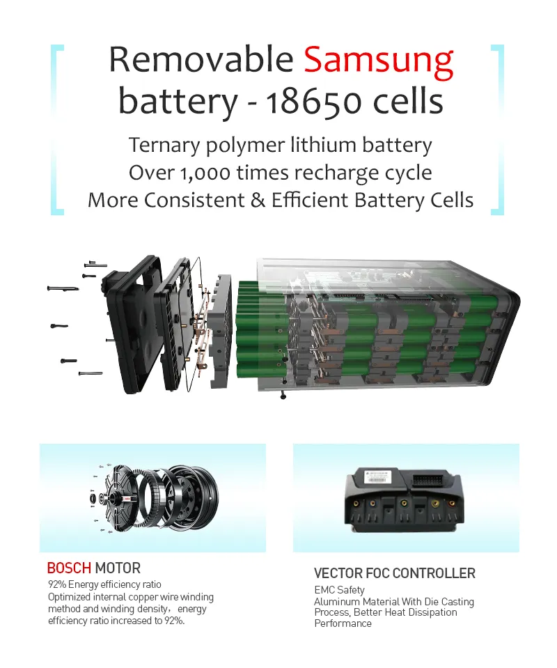 2000W China EEC Electric Bicycle with EEC Certificate and LED Display for Adults