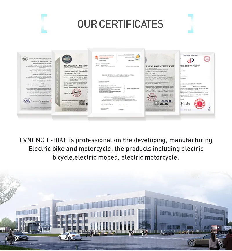 2000W Electric Bicycle with The Max Speed of 45km/H for Adults