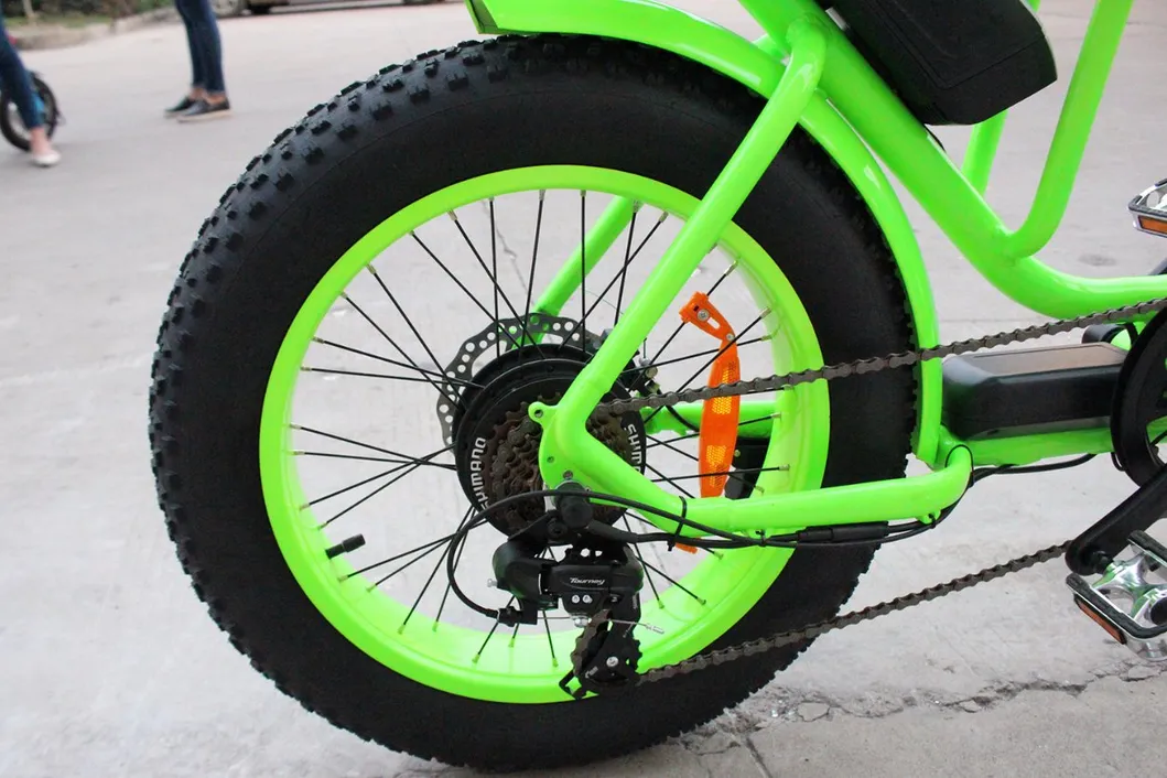 2018 Rear Drive Ebike Electric Fat Tire Bike