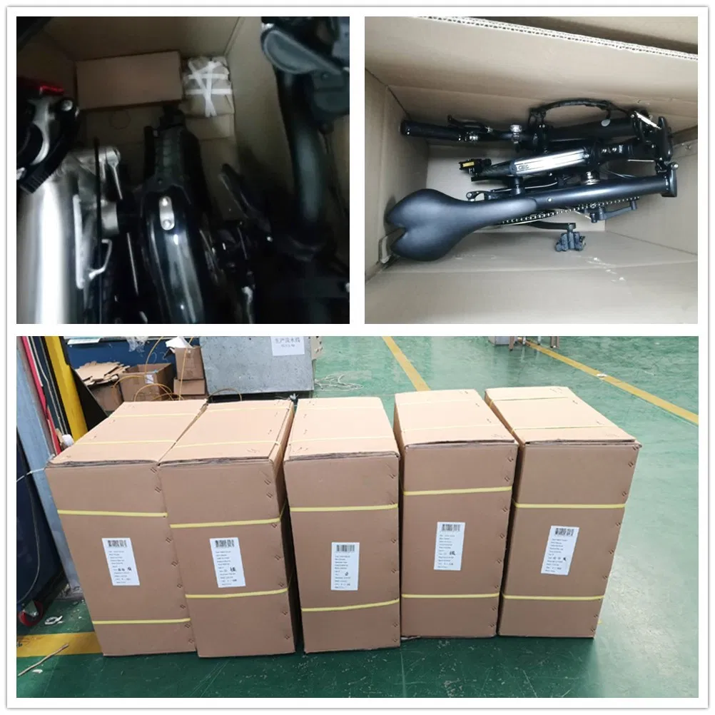 2020 16inch Fold Away Ebike, Best Foldable Ebike, Ladies Folding Ebike