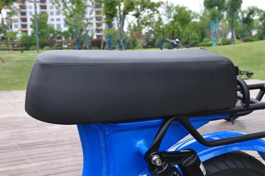 2020 New E Bike with Motor 48V 500W 750W Fat Tire Super Electric Bike Bicycle