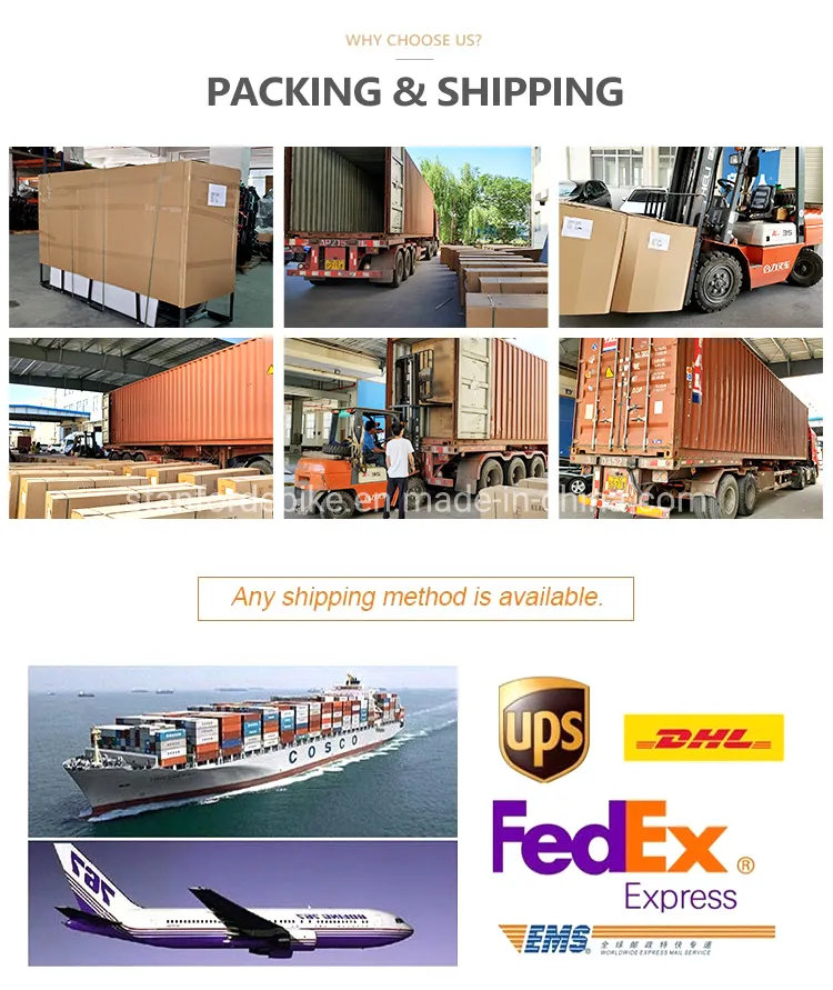 2020 New Model Street Sport Racing Motorbike/Electric Motorcycle