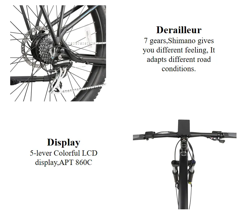 2020 Wholesales Electric Bike Bicycle Lithium Battery Alloy Aluminum Frame E-Bike Mountain Bike