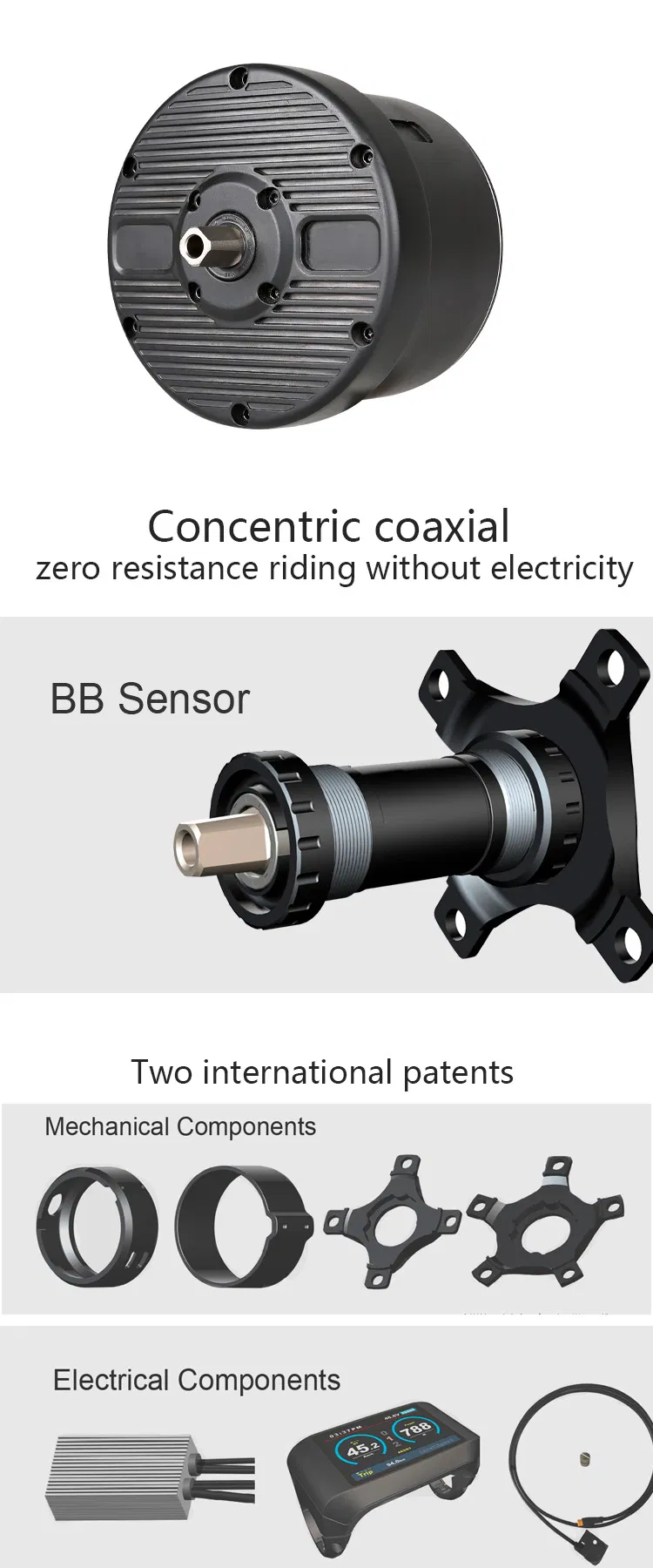 2021 Cheap Price 36V 250W Motor Torque Mountain Electric Bike