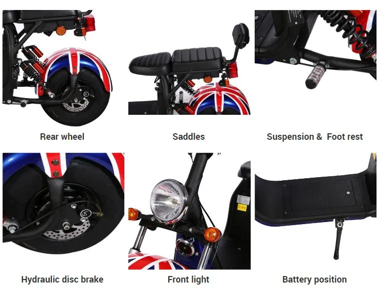 2021 Dh0502 The Most Popular Fat Tire Two Wheel Halley Scooter Electric Citycoco