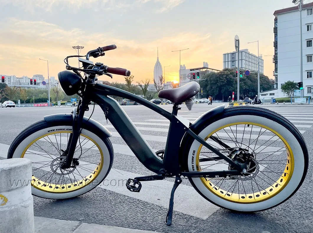 2021 New Products 48V 21ah Lituium Battery 26 Inch Tire Electric Mountain Bike