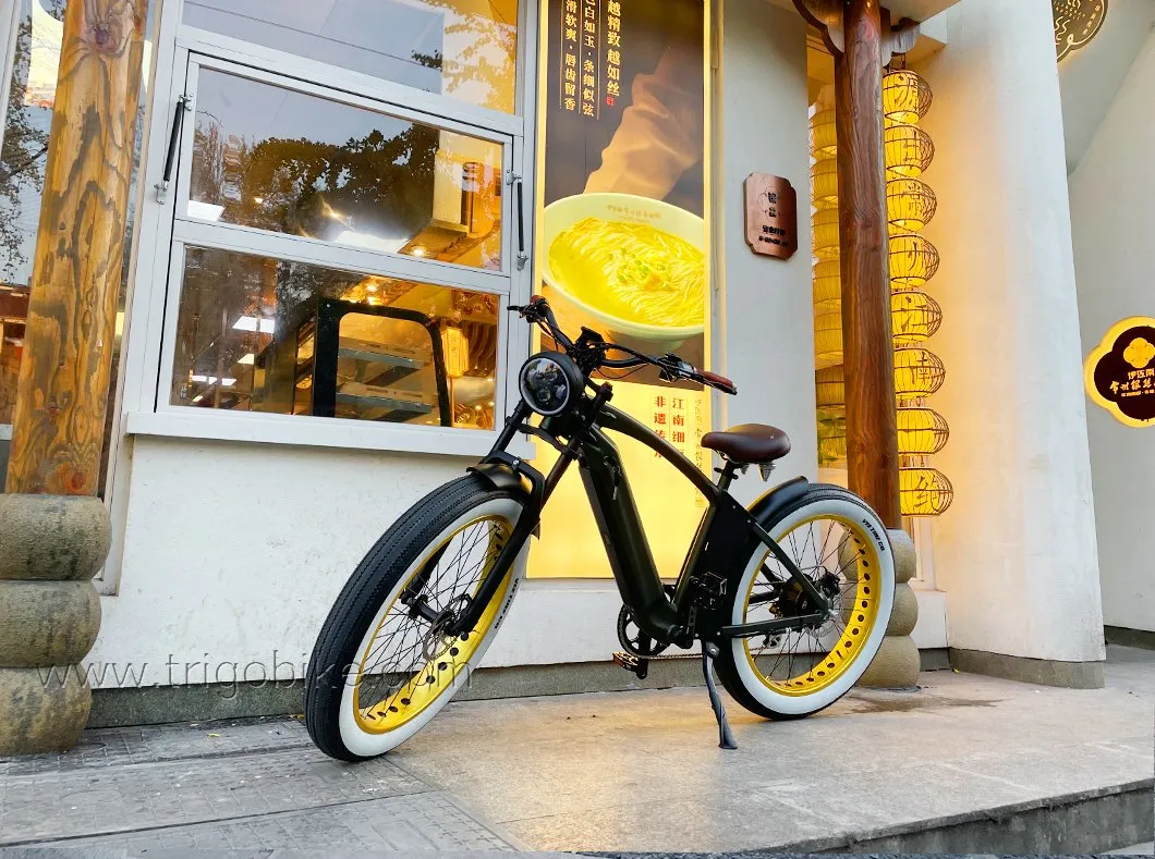 2021 New Products 48V 21ah Lituium Battery 26 Inch Tire Electric Mountain Bike