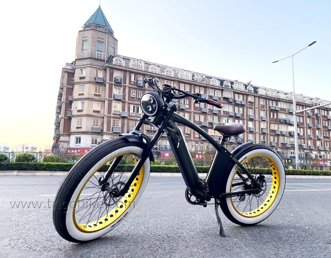 2021 New Products 48V 21ah Lituium Battery 26 Inch Tire Electric Mountain Bike