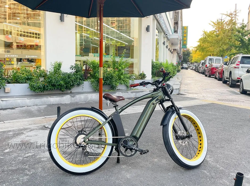 2021 New Products 48V 21ah Lituium Battery 26 Inch Tire Electric Mountain Bike