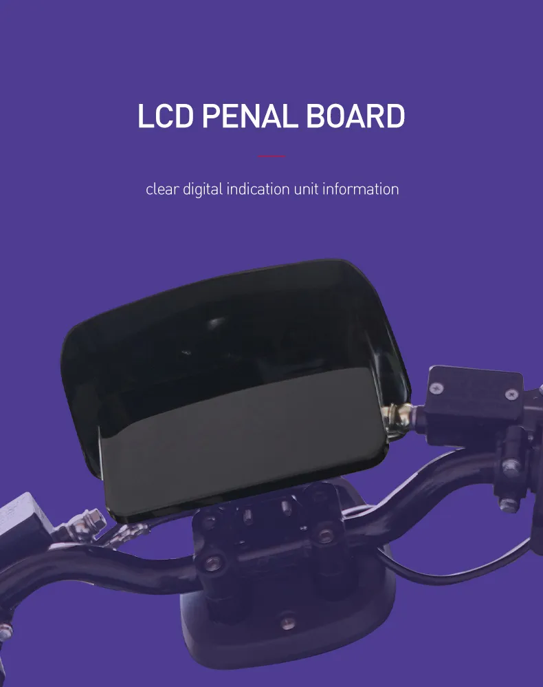 2021 New Style Electric Scooter with Lithium Battery and 75km/H