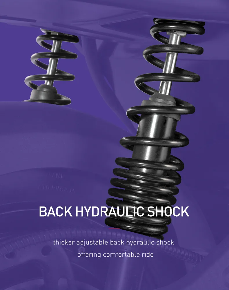 2021 New Style Electric Scooter with Lithium Battery and 75km/H