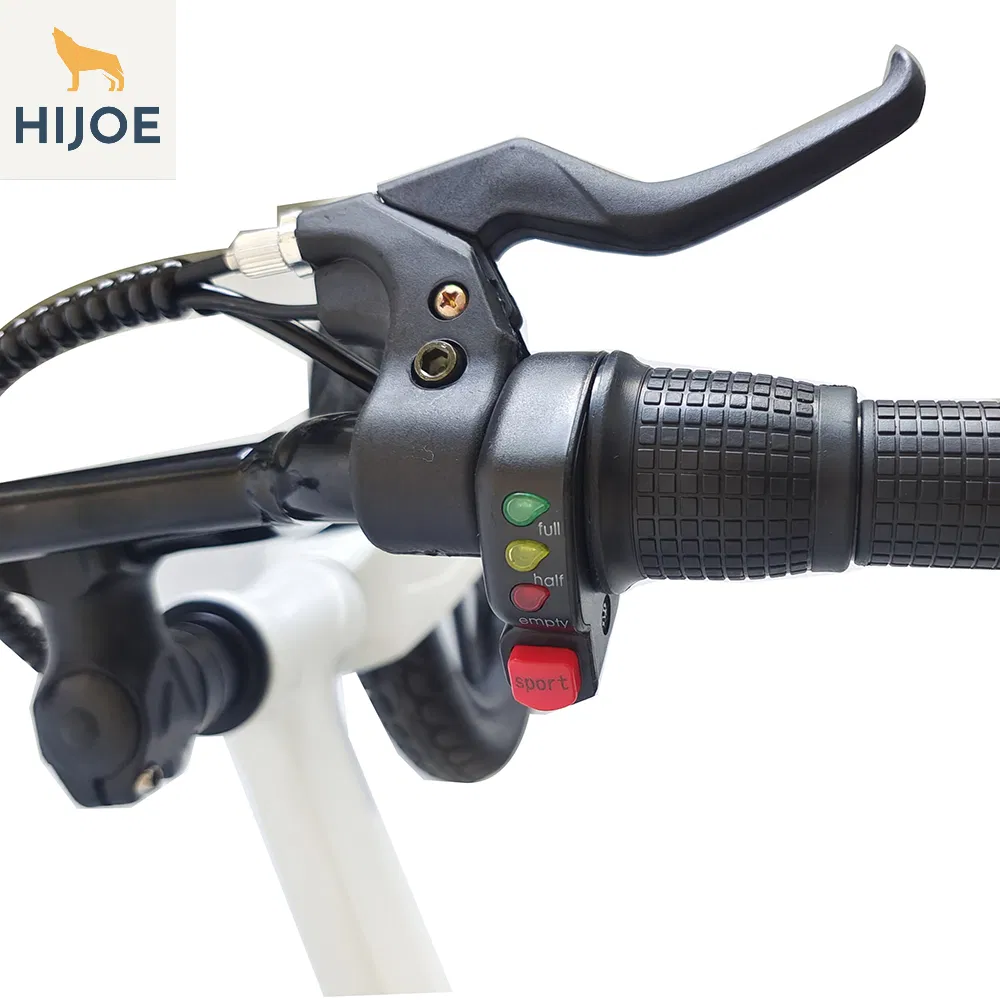 22V200W Electric Balance Bike New Design