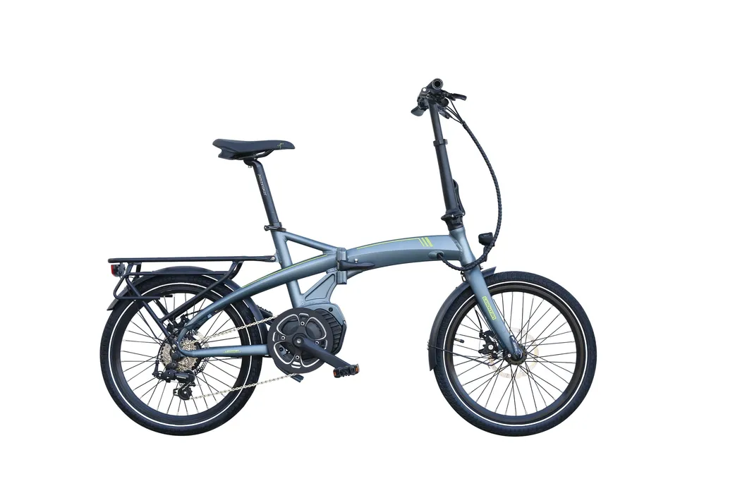 250W 36V7.8ah Li-ion Battery Electric Bike 5-6 Hours Electric Dirt Bike 5-Lever LCD Display 55-65km by PAS Electric Powered Bikes