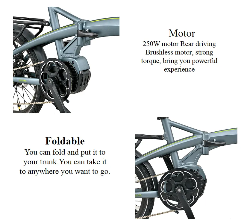250W 36V7.8ah Li-ion Battery Electric Bike 5-6 Hours Electric Dirt Bike 5-Lever LCD Display 55-65km by PAS Electric Powered Bikes
