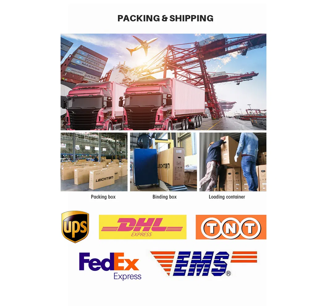 250W Brushless Motor Electric Bike 36V 9.6ah Electric Dirt Bike 5-Lever LCD Display Mens Electric Bikes