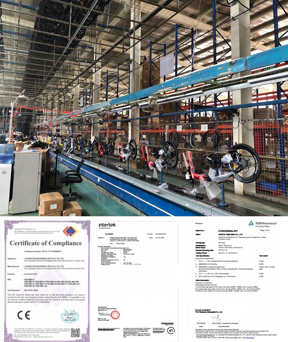 250W Electric Bicycle250W Electric Bike