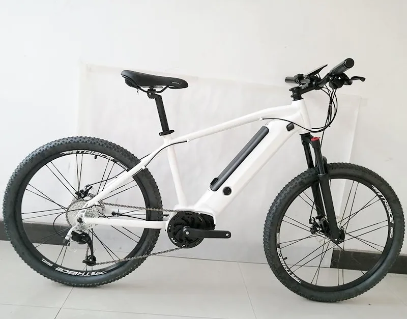 250W Electric Bike MID Drive Electric Bike