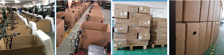 250W Electric Bike MID Drive Electric Bike