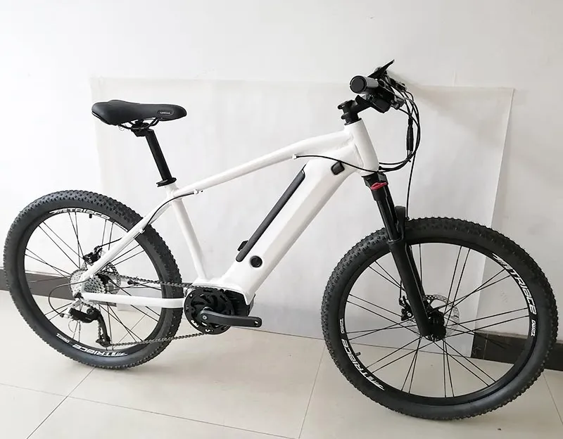 250W Electric Bike MID Drive Electric Bike