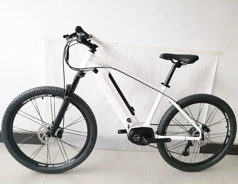 250W Electric Bike MID Drive Electric Bike