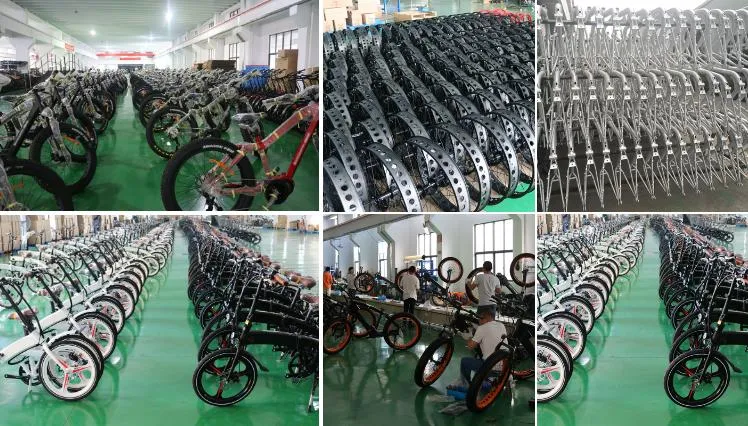 26" 36V 250W Fast Speed City Bike