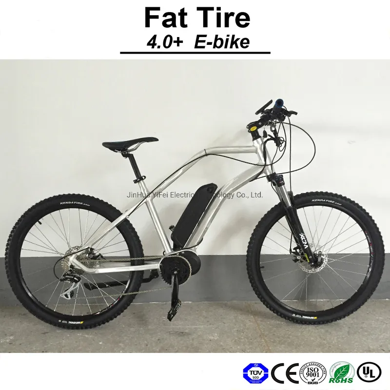 26" 36V 250W Muse Lithium Battery Big Size Moutain Electric Bike