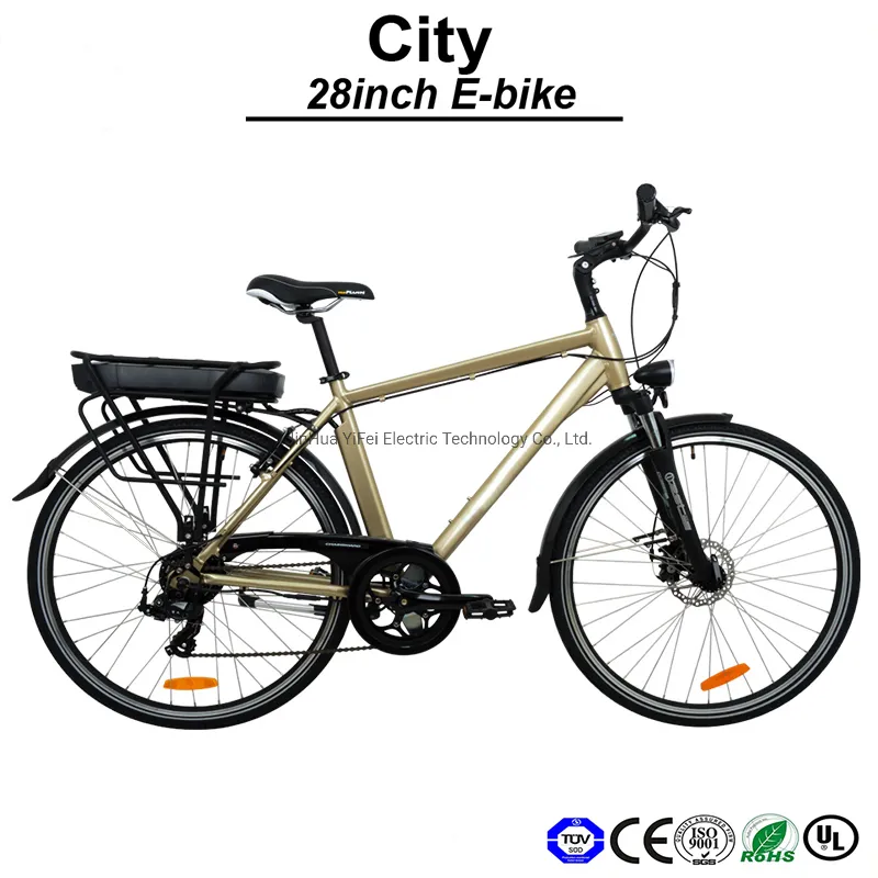 26" 36V 250W Muse Lithium Battery Big Size Moutain Electric Bike