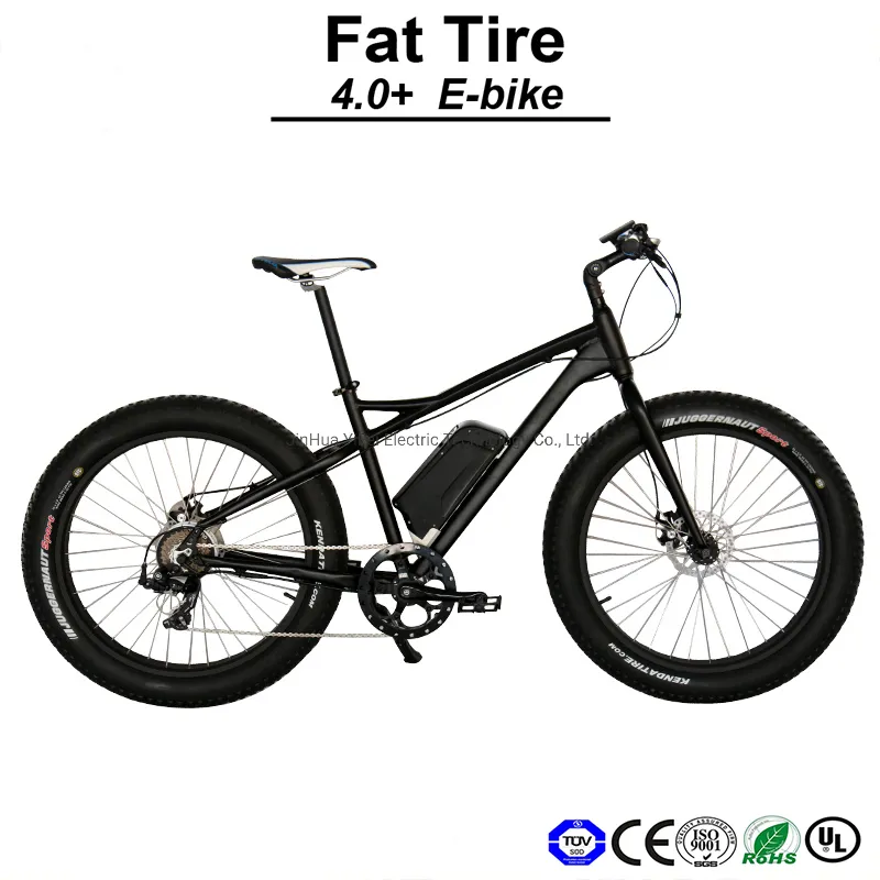 26" 36V 250W Muse Lithium Battery Big Size Moutain Electric Bike
