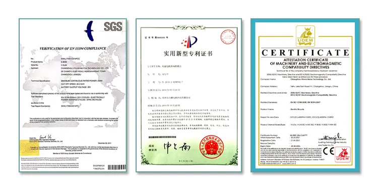 26 Inch Fat Tire G510 1000W Bafang MID Drive Ebike