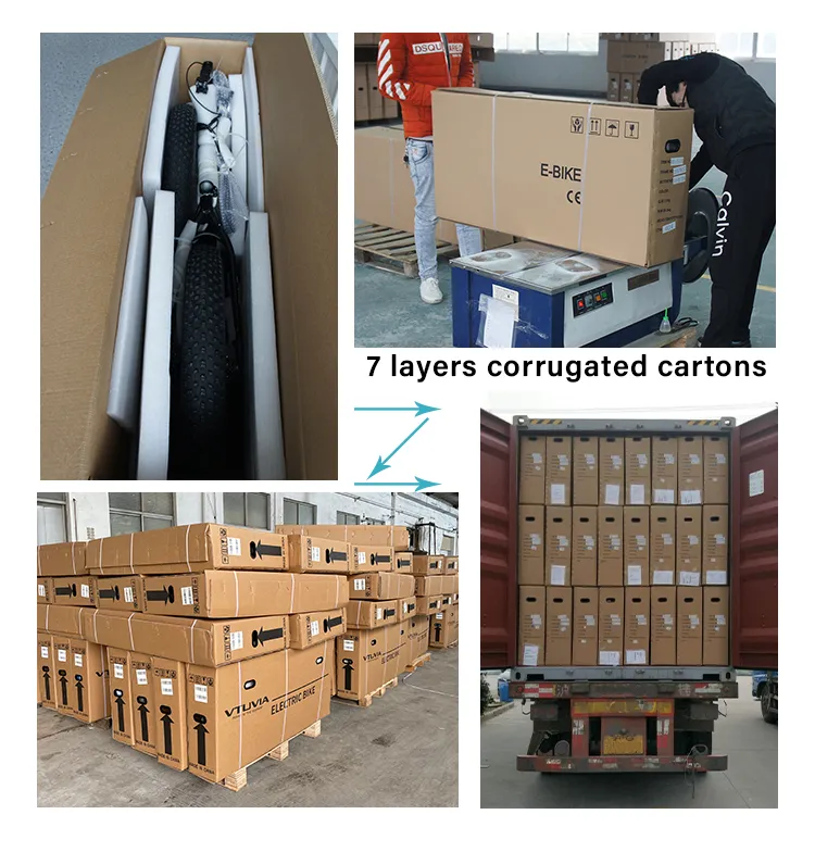 26 Inch Fat Tire G510 1000W Bafang MID Drive Ebike