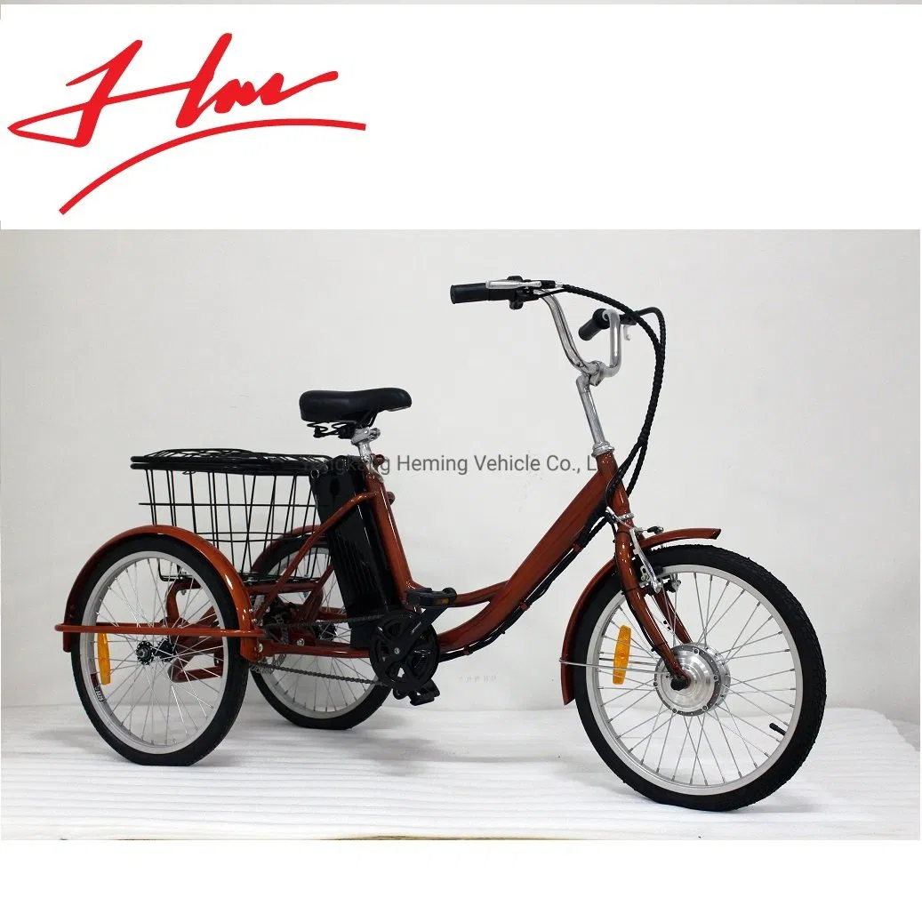 26inch E Bike Elektricky Jizdni Kolo