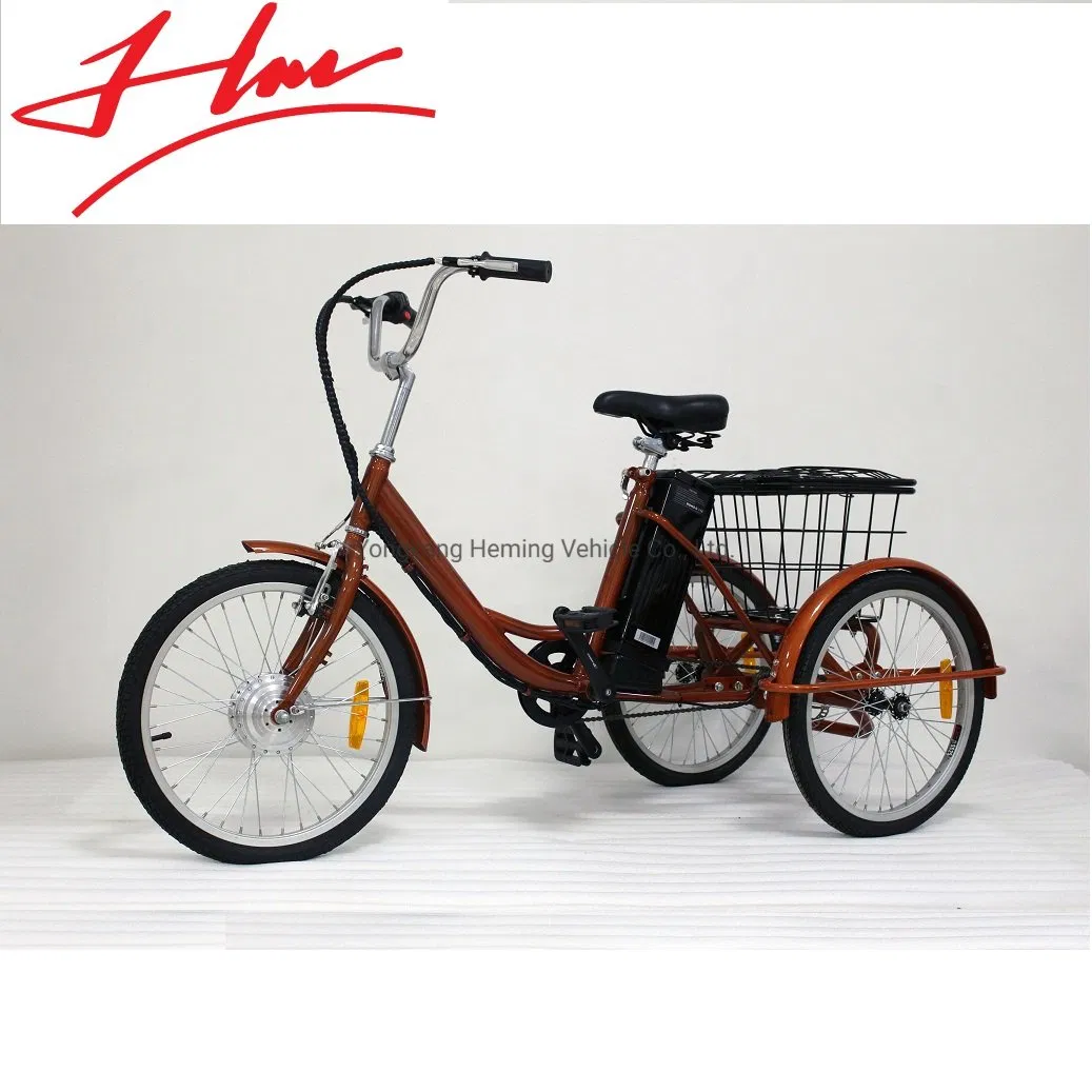 26inch E Bike Elektricky Jizdni Kolo